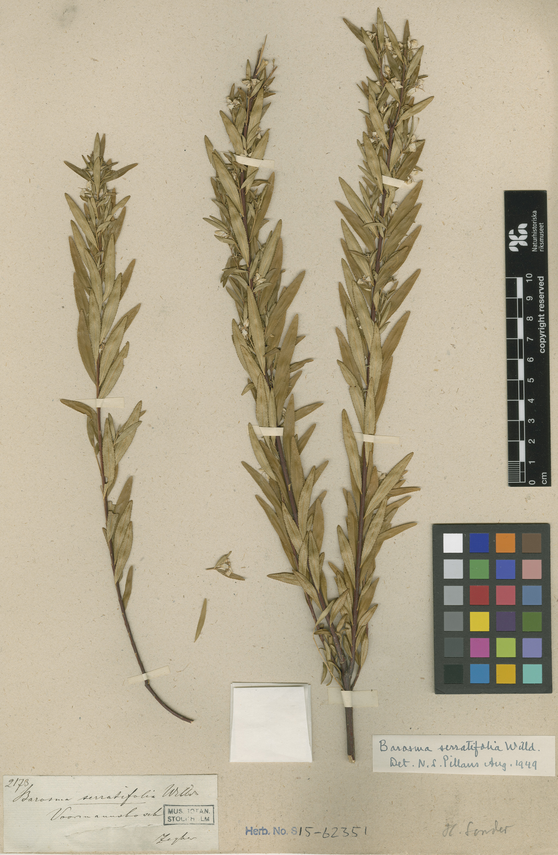 © , some rights reserved (CC-BY)